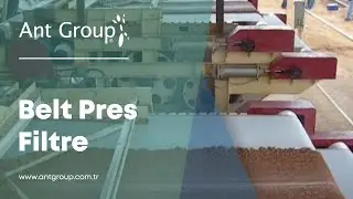 ANT GROUP | Belt Pres Filtre