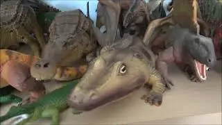 My Collection Video 2023!