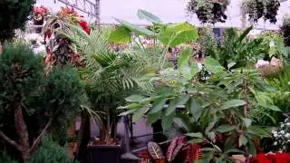 CLIP0026