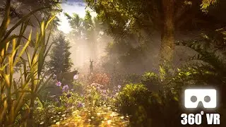VR 360 Video | Virtual Reality Forest Made With Unity 3D