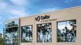 Calibr: A Decade of Discovery