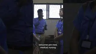 Top 10 Volunteer Opportunities for 2025 with GoEco - Medical And Nursing Program #8 #shorts #goeco