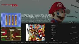 RETROBAT - The best emulation system! My Nintendo DS collection
