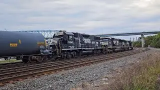 NS 