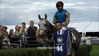 UAE President Cup Central European Arabian Derby - 28.09.2025 - Haseef (Al Mourtajez - Ghazwa)