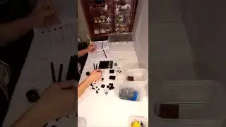 Lego 60122 - Volcano Crawler (Personal Collection) Speed Sort