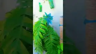 #plants #garden #garden #greenscreen #podcast