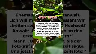 👉 Was war dein erster Streit? #ehe #hochzeit #witz  #witzig