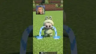 Домик для Лабубу Грустный🥺#minecraft