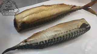 נגיעות בדג מקרל מעושן, אנסקיס בדג מקרל, דג מקרל, הרב יוסף דורפמן, Rabbi yosef dorffman, אנסקיס