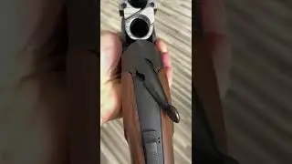 ATA arms SP Black
