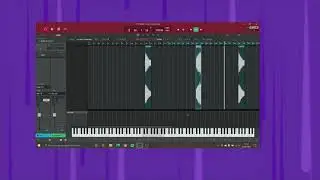 Come &egrave; stata prodotta $nitch gang di rickyrav99