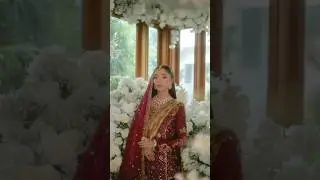 Momina Teli #shorts
