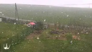 Giboul&eacute;e de neige du lundi 7 mars 2016 au alentour de 13h00 a Illiers-Combray (28, Eure-Et-Loir).