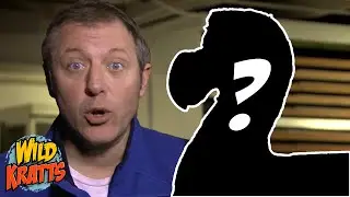 What Did the Dodo Bird Look Like? | Wild Kratts 