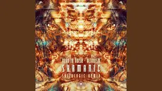 Shamanic (Skizologic Remix)