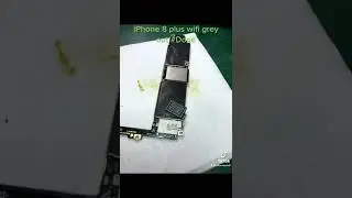 iPhone 8 Plus Wifi Grey Out