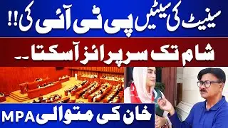 5 Senate Seats From Punjab | Surprise on Way | PTI MPA Saima Kanwal Interesting Talk