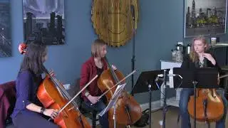br&uuml; coffeeworks and the Jetoj Cello Trio improvisation