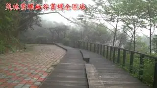 103年3月3日蝶況