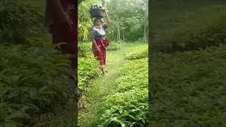ibu2 tangguh penopang ekonomi keluarga #ibutangguh #pejuangekonomi