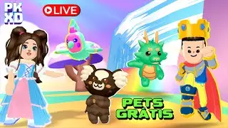 LIVE | PET MICO-ESTRELA  PET SHINNY E MONTARIA GR&Aacute;TIS