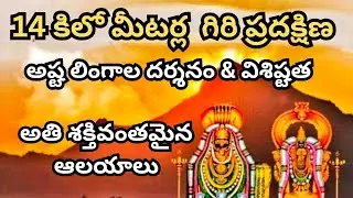 🤯😱14 కిలో మీటర్ల గిరి ప్రదక్షిణ లో అతి శక్తి వంతమైన ఆలయాలు ఉన్నాయా ? | ARUNACHALA GIRI PRADIKSHANA