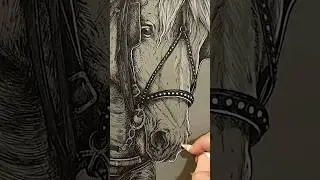 Percheron Horse ASMR Illustration #asmr #asmrart #asmrdrawing