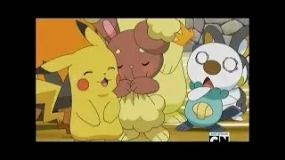 Pokemon Black And White: Buneary Reunites With Pikachu And They Fall In Love