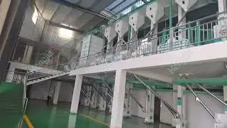 500T/D Rice Milling Plant | Full System from Paddy to Packaged Rice #ricemillplant