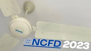 National Ceiling Fan Day 2023!