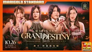 Marigold Grand Destiny 2025 Live Review | The Marigold Standard #70