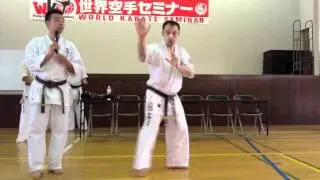世界空手セミナー 谷川光 Shinkyokushinkai World karate seminar Ko Tanigawa