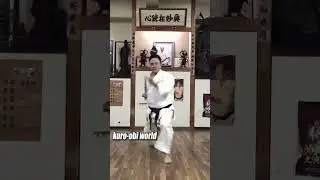 Powerful Kata of Okinawa Gojyu-ryu Karate
