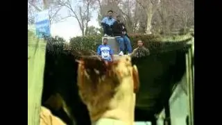 Real Ass Niggas  Sho`, Swiff Duece, Big Swiff