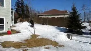Backyard Rail