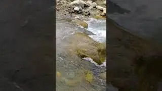 Beas River's Himalayas 🏞️Himachal Pradesh