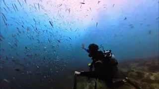Raja Ampat Adventure 2025: Day 6 (Boo Windows, Magic Mountain, Puri Pinnacle, Sabenibnu Kecil)