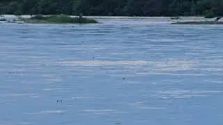 DESOVE EN EL RIO, SANTIAGO DEL ESTERO 