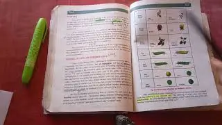 CH 22 || variation and genetics part 1 || important short questions|| 12 Biology||