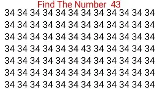 Find The Number 