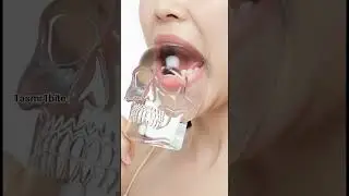 Ice Bite #asmr #asmr #asmrsounds
