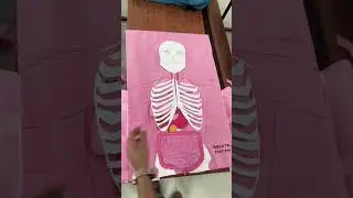 Amazing Human Anatomy Model ✂️ | Science Project Idea!