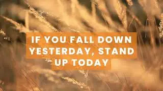 10 Motivation quotes boost your psychology | Amazing life quotes @Positivemindsets