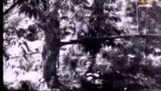 Malayan Emergency Part 2