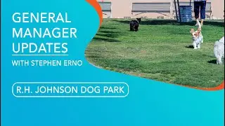 General Manager Update - R.H. Johnson Dog Park