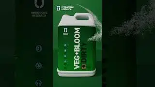 VEG+BLOOM Knowledge is Powder