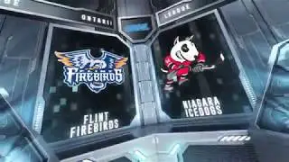 HIGHLIGHTS | Niagara IceDogs (7) - Flint Firebirds (2)