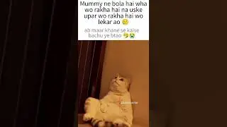 Jaldi btao 😭🤧 #cat #viral #funny #relatable #mummy #mom #memes #comedy #children #shorts #memesdaily
