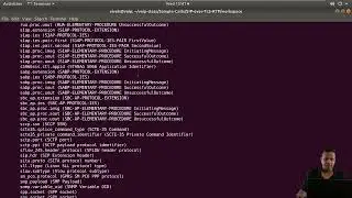 VoIP Traffic Analysis course siptls rtp tshark decodeas